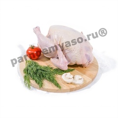 Цыпленок домашний