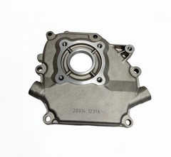 Крышка картера G210FA,LC168-2H,LC170F-2/110820014-0001