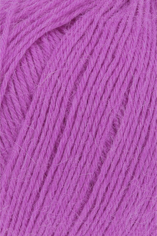 Lang Alpaca Soxx 085
