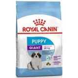 Сухой корм для щенков гигантских пород Royal Canin от 2-8 месяцев с птицей 3,5 кг.