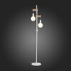 Торшер Evoluce Bagetti SL1142.505.01