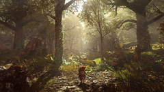 Ghost of a tale (для ПК, цифровой код доступа)