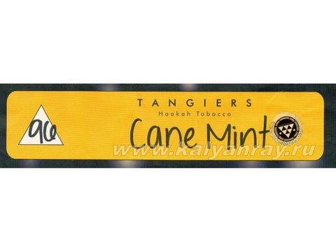 Tangiers Noir Cane Mint