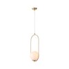 Светильник подвесной ST Luce Penolo SL1118.203.01