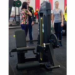 Разгибание ног сидя (Leg Extension) DHZ E-3002. Стек 109 кг