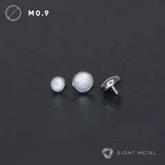 Накрутка White Shell