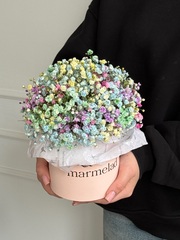 Композиция в коробке с радужной гипсофилой