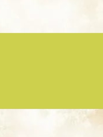 Пастель масляная мягкая профессиональная MUNGYO Gallery Оливково-жёлтый №242 (3шт)