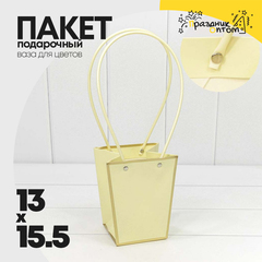 
          Пакет подарочный 15.5х13х9.5см Ваза для цветов с золотой рамкой (Бежевый)