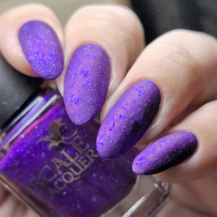 Can We Play D&D Now? (LE)