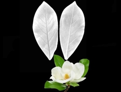 Силиконовый вайнер 