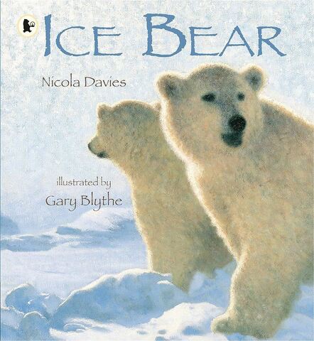 Ice Bear - Nature Storybooks