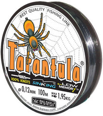 Купить рыболовную леску Balsax Tarantula Box 100м 0,25 (6,8кг)