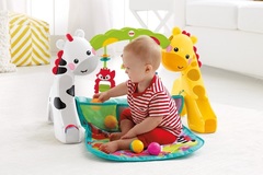 Fisher Price Большой игровой центр 