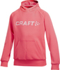 Толстовка Craft Flex Hood детская розовая