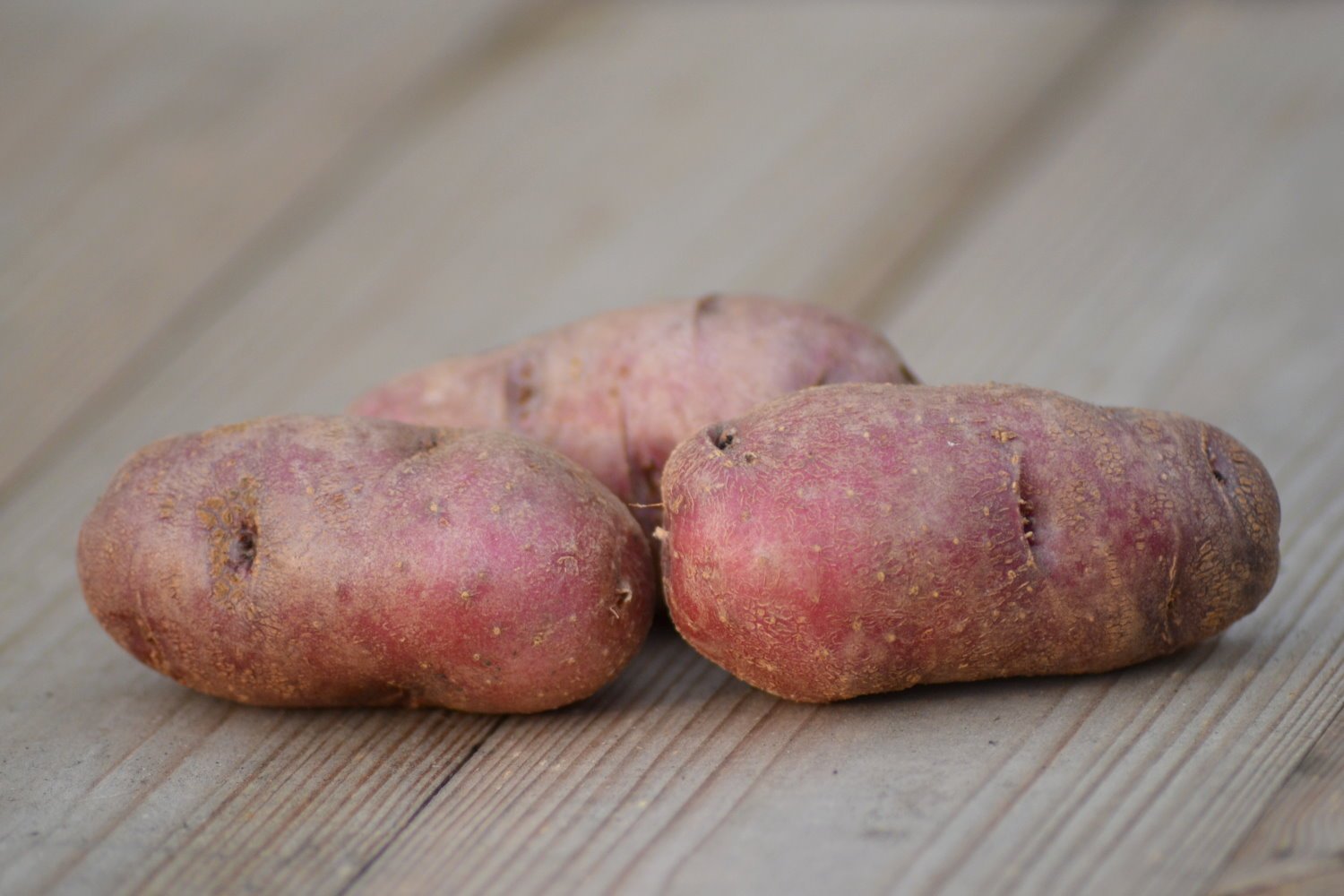 Сорта розовой картошки. Картофель семенной Беллароза. Сорт картошки Беллароза. Сорт картофеля Беллароза.
