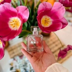 Парфюмерная вода Natural Instinct Lady Lux  