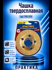 Чашка твёрдосплавная ПРАКТИКА 125 х 22 мм плоская, зерно # 24 мелкое (795-378)