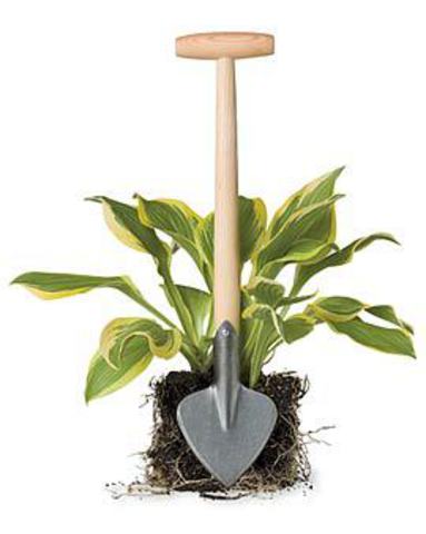 Лопатка для пересадки растений и кустов DeWit