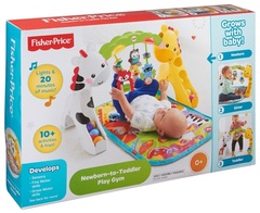Fisher Price Большой игровой центр 
