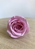 Классические розы Стандарт 5,5 см