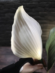 Молд пластиковый Лепесток спатифиллума, каллы 23 х 17,5 см