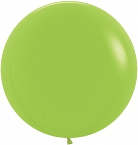 S 24''/60 см, Пастель, Лайм/Светло-зеленый (031), 1 шт.