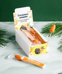 Сосновая шишка на палочке  в Апельсиновом шоколаде / шоу-бокс / 187 гр /15 шт / Солнечная Сибирь