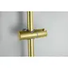 Aquatek AQ1748BG AQ1748BG ЛУГАНО смеситель для ванны с душевым гарнитуром, шлиф. золото