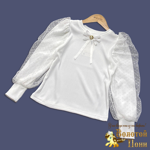 Блуза трикотаж д (7-11) 250623-SH539