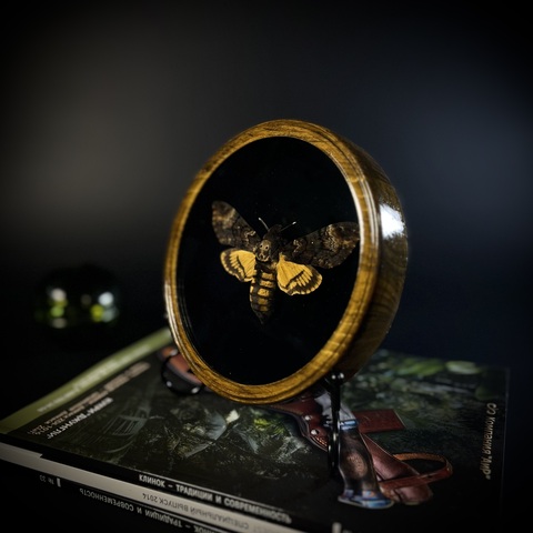 Бражник «Мёртвая голова»