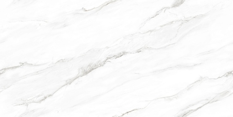 Neodom Classic Marble Statuario Dior Polished 80x160