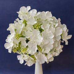 Гортензия искусственная, букет 7 веток - 7 голов, цвет белый, 37 см, набор 2 букета