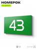Табличка с номером 43 на дверь квартиры, для офиса, кабинета, аудитории, склада, зеленая 120х70 мм, Айдентика Технолоджи