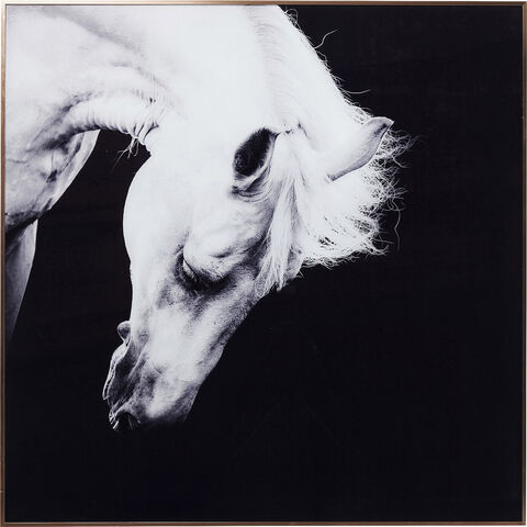 Картина в рамке Proud Horse, коллекция 