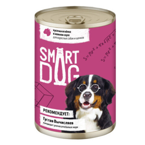 Smart Dog Chunks Lamb