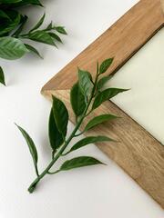 Искусственная зелень декоративная, букет 5 веток, 36 см, цвет Темно-зеленый, набор 1 букет