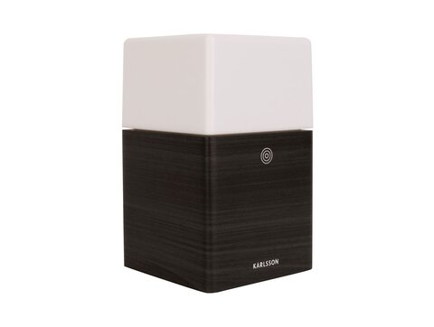 Часы настольные Present Time Karlsson Frosted light ka5798bk