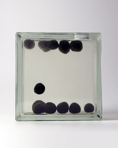 Window 4