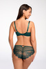 Трусы-слип Sensual Finesse Briefs