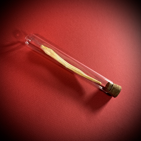 Бакулюм волка в стеклянной колбе