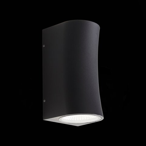 Светильник уличный ST Luce Deale SL088.411.02