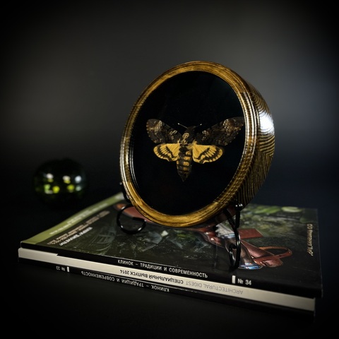 Бражник «Мёртвая голова»