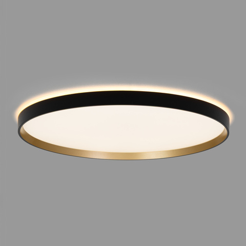 Потолочный светодиодный светильник Citilux Etalon CL750501R