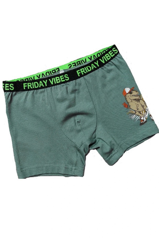 036_НБО24 Боксеры (трусы) д/м, хаки