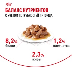 Royal Canin Appetite Control Care пауч для кошек контроль аппетита в соус 85 гр