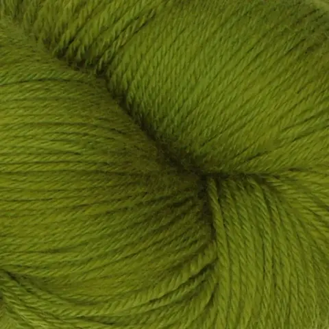 Symfonie Terra SS2021