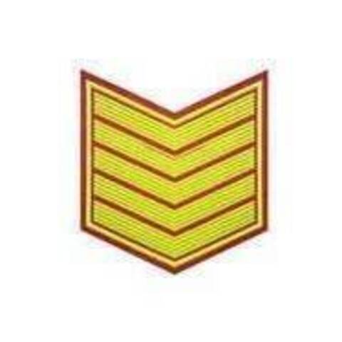 Курсовка резиновая красная  галочка  5 курс