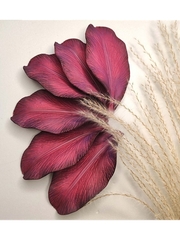 Молды пластиковые набор 