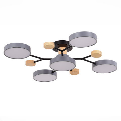 Светильник потолочный Evoluce Faema SLE6006-702-05